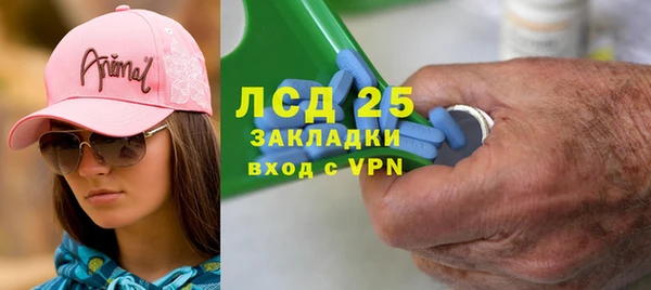 индика Белокуриха