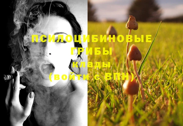 индика Белокуриха