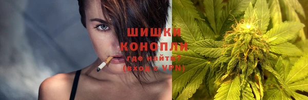 индика Белокуриха