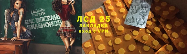 индика Белокуриха