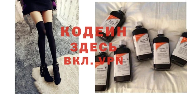 индика Белокуриха