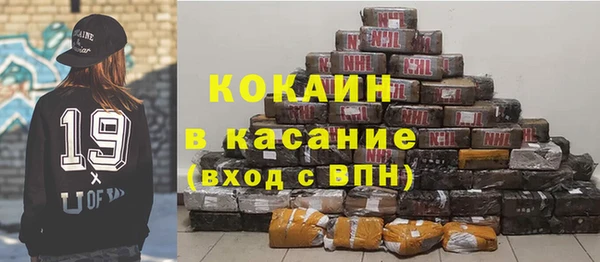индика Белокуриха