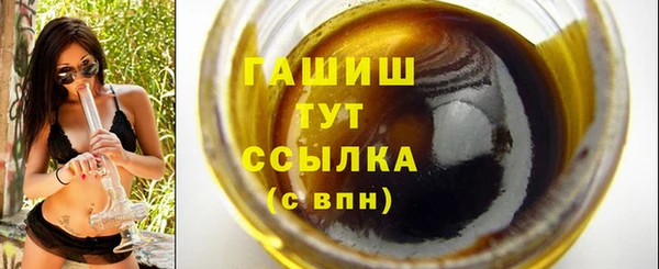 индика Белокуриха