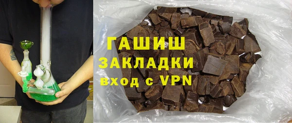 индика Белокуриха